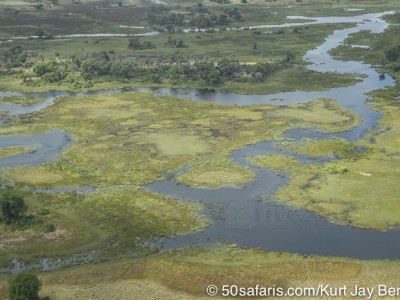 botswana, okavango delta, okavango, wilderness, wilderness safaris, calendar, when to go, best, wildlife, safari, photo safari, photo tour, photographic safari, photographic tour, photo workshop, wildlife photography, 50 safaris, 50 photographic safaris, kurt jay bertels, lion, kill, buffalo, relentless enemies, derek joubert, aerial, aeroplane