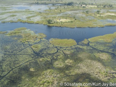 botswana, okavango delta, okavango, wilderness, wilderness safaris, calendar, when to go, best, wildlife, safari, photo safari, photo tour, photographic safari, photographic tour, photo workshop, wildlife photography, 50 safaris, 50 photographic safaris, kurt jay bertels, lion, kill, buffalo, relentless enemies, derek joubert, aerial, aeroplane