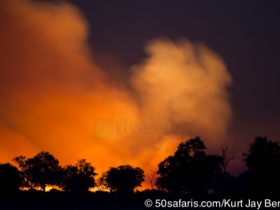 botswana, okavango delta, okavango, wilderness, wilderness safaris, calendar, when to go, best, wildlife, safari, photo safari, photo tour, photographic safari, photographic tour, photo workshop, wildlife photography, 50 safaris, 50 photographic safaris, kurt jay bertels, lion, kill, buffalo, relentless enemies, derek joubert, fire