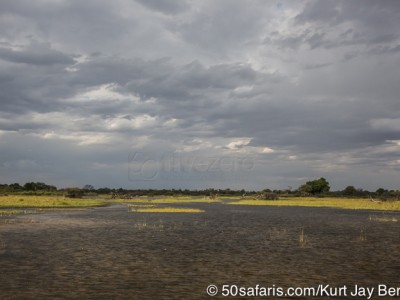 botswana, okavango delta, okavango, wilderness, wilderness safaris, calendar, when to go, best, wildlife, safari, photo safari, photo tour, photographic safari, photographic tour, photo workshop, wildlife photography, 50 safaris, 50 photographic safaris, kurt jay bertels, lion, kill, buffalo, relentless enemies, derek joubert, rain, clouds