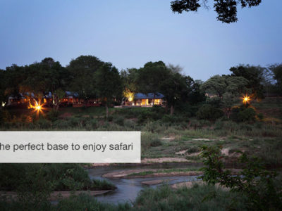 South Africa safari, five zero safaris