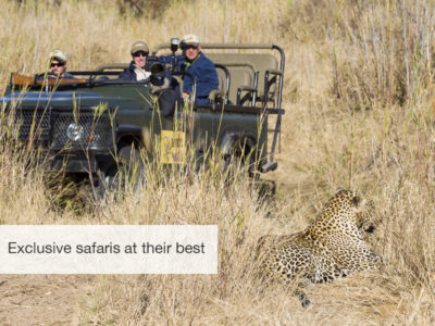 South Africa safari, five zero safaris