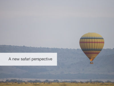 Great migration safari, fivezero safaris