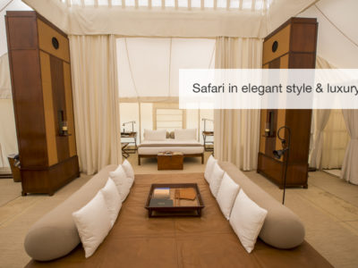tiger safari, fivezero safaris