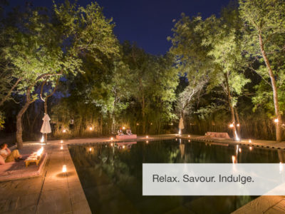 tiger safari, fivezero safaris