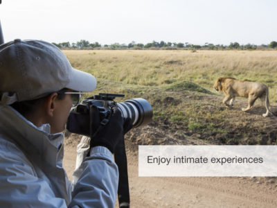 Great migration safari, fivezero safaris