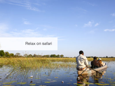 Okavango Delta, Safari, Botswana, Fivezero Safaris