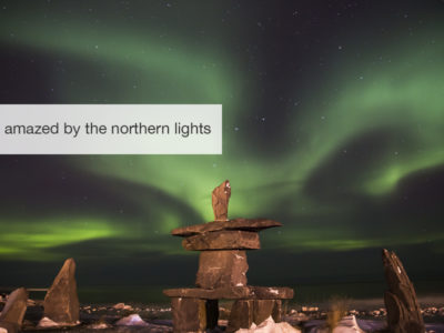 Polar bear safari, five zero safaris