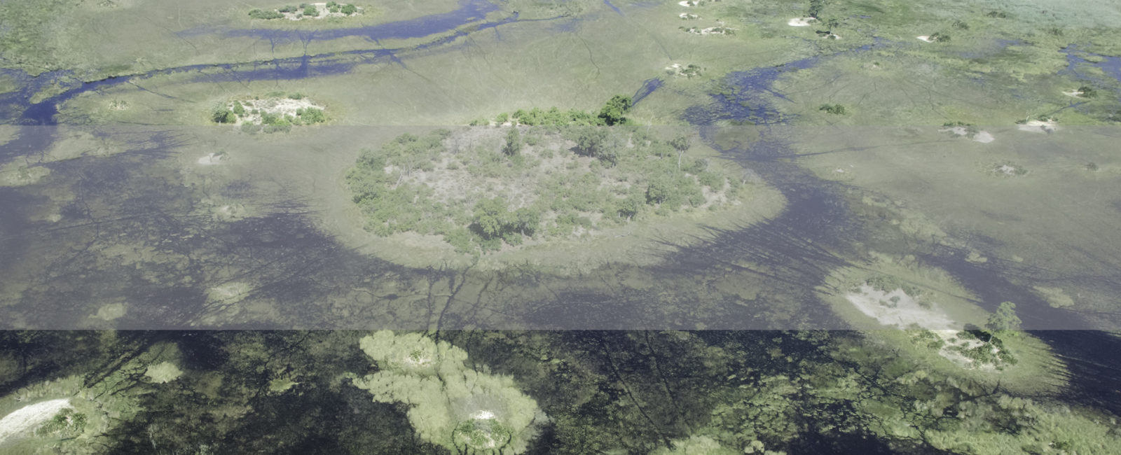 Okavango Delta Safari, FiveZero Safaris