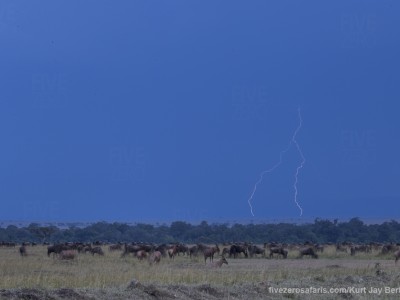 photo safari, photographic safari, wildlife photographic safari, photo tour, photo workshop, when to go, best, fivezero safaris, five zero, safari, kurt jay bertels, kenya, masai mara, great migration, lightning