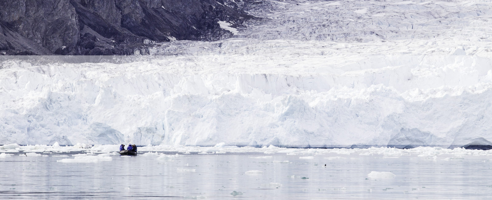 The Arctic Safari, FiveZero Safaris