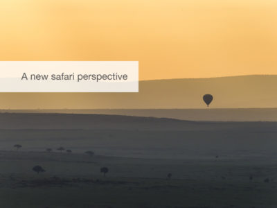 Kenya, Masai Mara, Safari, FiveZero Safaris