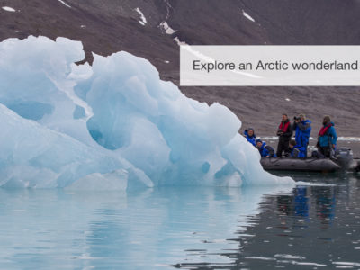 The Arctic Safari, FiveZero Safaris