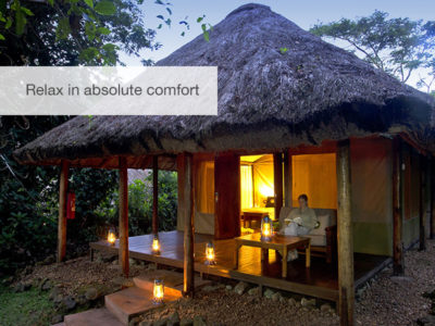 Great apes safari, Uganda, Safari, FiveZero Safaris
