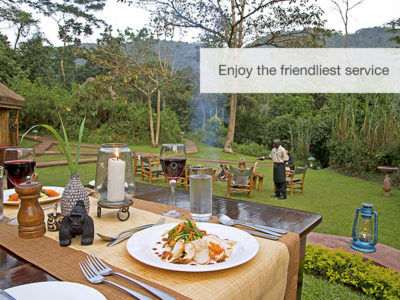 Great apes safari, Uganda, Safari, FiveZero Safaris