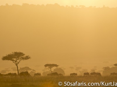 Sunset in the Masai Mara