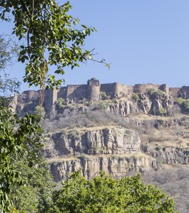 India, tiger, wildlife, safari, photo safari, photo tour, photographic safari, photographic tour, photo workshop, wildlife photography, 50 safaris, 50 photographic safaris, kurt jay bertels, ranthambore fort, fort