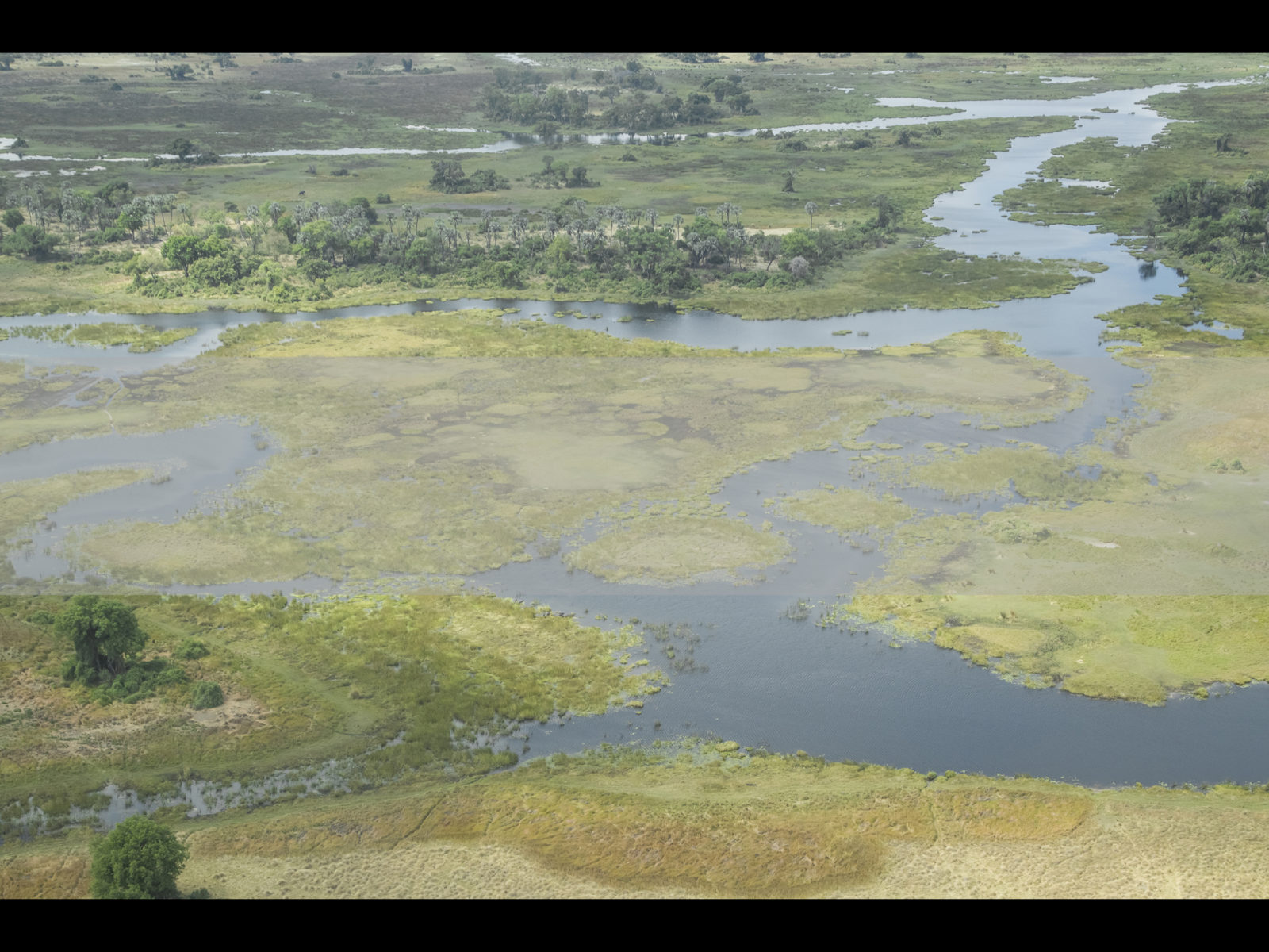 Okavango Delta Safari, FiveZero Safaris