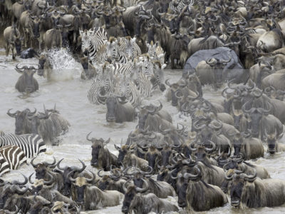 Permalink to The Great Migration Safari in Kenya