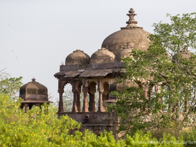 calendar, when to go, best, wildlife, safari, photo safari, photo tour, photographic safari, photographic tour, photo workshop, wildlife photography, five zero safaris, five zero photographic safaris, fivezero, kurt jay bertels, tiger safari, india, red fort, ruins