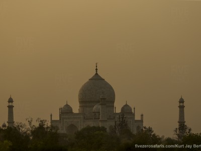 calendar, when to go, best, wildlife, safari, photo safari, photo tour, photographic safari, photographic tour, photo workshop, wildlife photography, five zero safaris, five zero photographic safaris, fivezero, kurt jay bertels, tiger safari, india, taj mahal