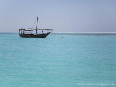 photo safari, photographic safari, wildlife photographic safari, photo tour, photo workshop, when to go, best, fivezero safaris, five zero, safari, kurt jay bertels, zanzibar, dhow,