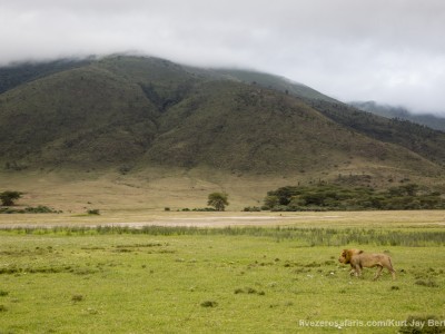 photo safari, photographic safari, wildlife photographic safari, photo tour, photo workshop, when to go, best, fivezero safaris, five zero, safari, kurt jay bertels, tanzania, ngorogoro crater, lion