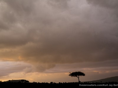 photo safari, photographic safari, wildlife photographic safari, photo tour, photo workshop, when to go, best, fivezero safaris, five zero, safari, kurt jay bertels, tanzania, serengeti national park, storm