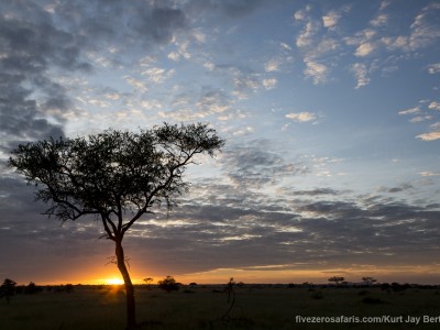 photo safari, photographic safari, wildlife photographic safari, photo tour, photo workshop, when to go, best, fivezero safaris, five zero, safari, kurt jay bertels, tanzania, serengeti national park, sunrise, acacia