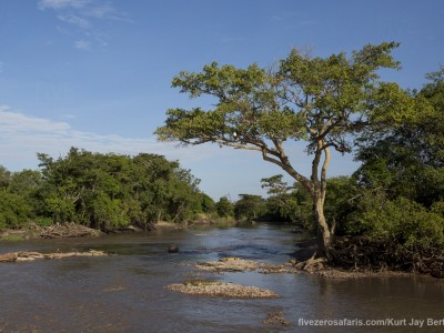 photo safari, photographic safari, wildlife photographic safari, photo tour, photo workshop, when to go, best, fivezero safaris, five zero, safari, kurt jay bertels, tanzania, serengeti national park, grummet river, crocodile