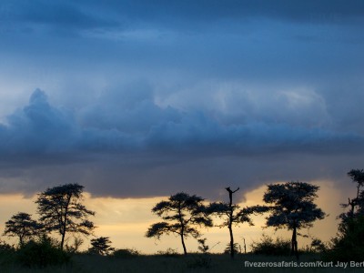 photo safari, photographic safari, wildlife photographic safari, photo tour, photo workshop, when to go, best, fivezero safaris, five zero, safari, kurt jay bertels, tanzania, serengeti national park, storm, clouds, sunset