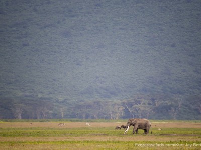 photo safari, photographic safari, wildlife photographic safari, photo tour, photo workshop, when to go, best, fivezero safaris, five zero, safari, kurt jay bertels, tanzania, ngorogoro crater, elephant
