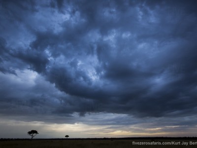 photo safari, photographic safari, wildlife photographic safari, photo tour, photo workshop, when to go, best, fivezero safaris, five zero, safari, kurt jay bertels, kenya, masai mara,