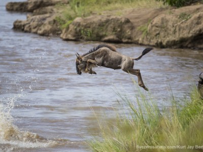 photo safari, photographic safari, wildlife photographic safari, photo tour, photo workshop, when to go, best, fivezero safaris, five zero, safari, kurt jay bertels, kenya, masai mara, great migration, wildebeest