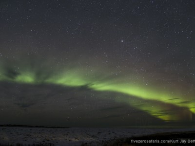 photo safari, photographic safari, wildlife photographic safari, photo tour, photo workshop, when to go, best, fivezero safaris, five zero, safari, kurt jay bertels, canada, churchill, polar bear, northern lights, aurora borealis