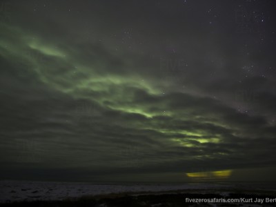 photo safari, photographic safari, wildlife photographic safari, photo tour, photo workshop, when to go, best, fivezero safaris, five zero, safari, kurt jay bertels, canada, churchill, polar bear, northern lights, aurora borealis