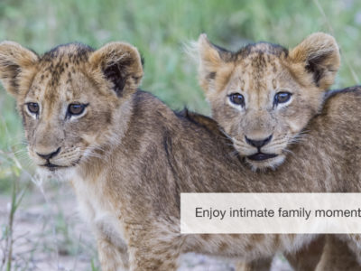 Phinda Safari, South Africa, FiveZero Safaris