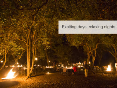 Phinda Safari, South Africa, FiveZero Safaris