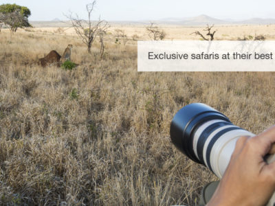 Phinda Safari, South Africa, FiveZero Safaris