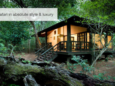 Phinda Safari, South Africa, FiveZero Safaris