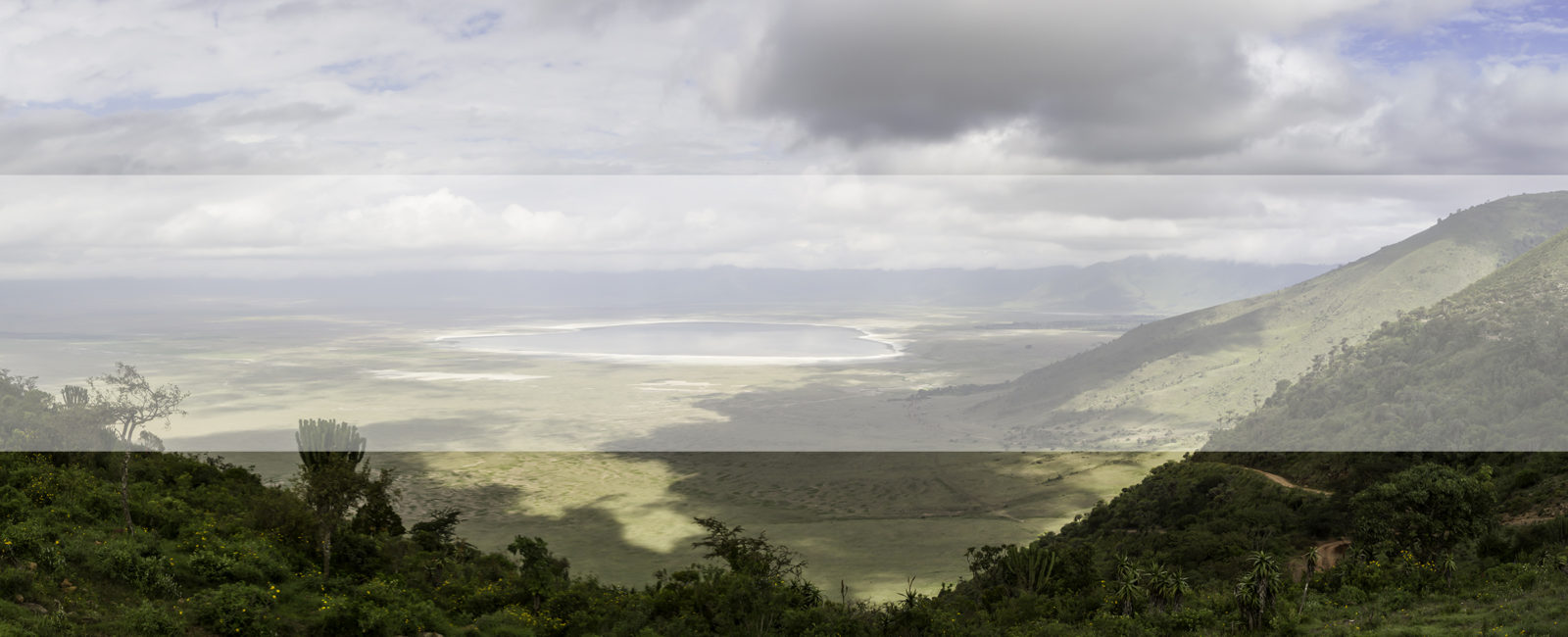 Ngorogoro Crater Safari, FiveZero Safaris