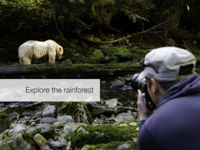 Spirit Bear Safari, FiveZero Safaris