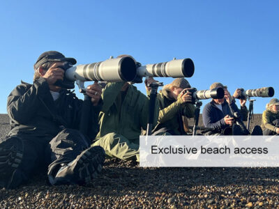 The Orca Safari, FiveZero Safaris